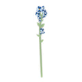 Nontiscordardime   Grande   Funny   Flowers   Vesta