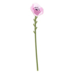 Petunia   Grande   Funny   Flowers