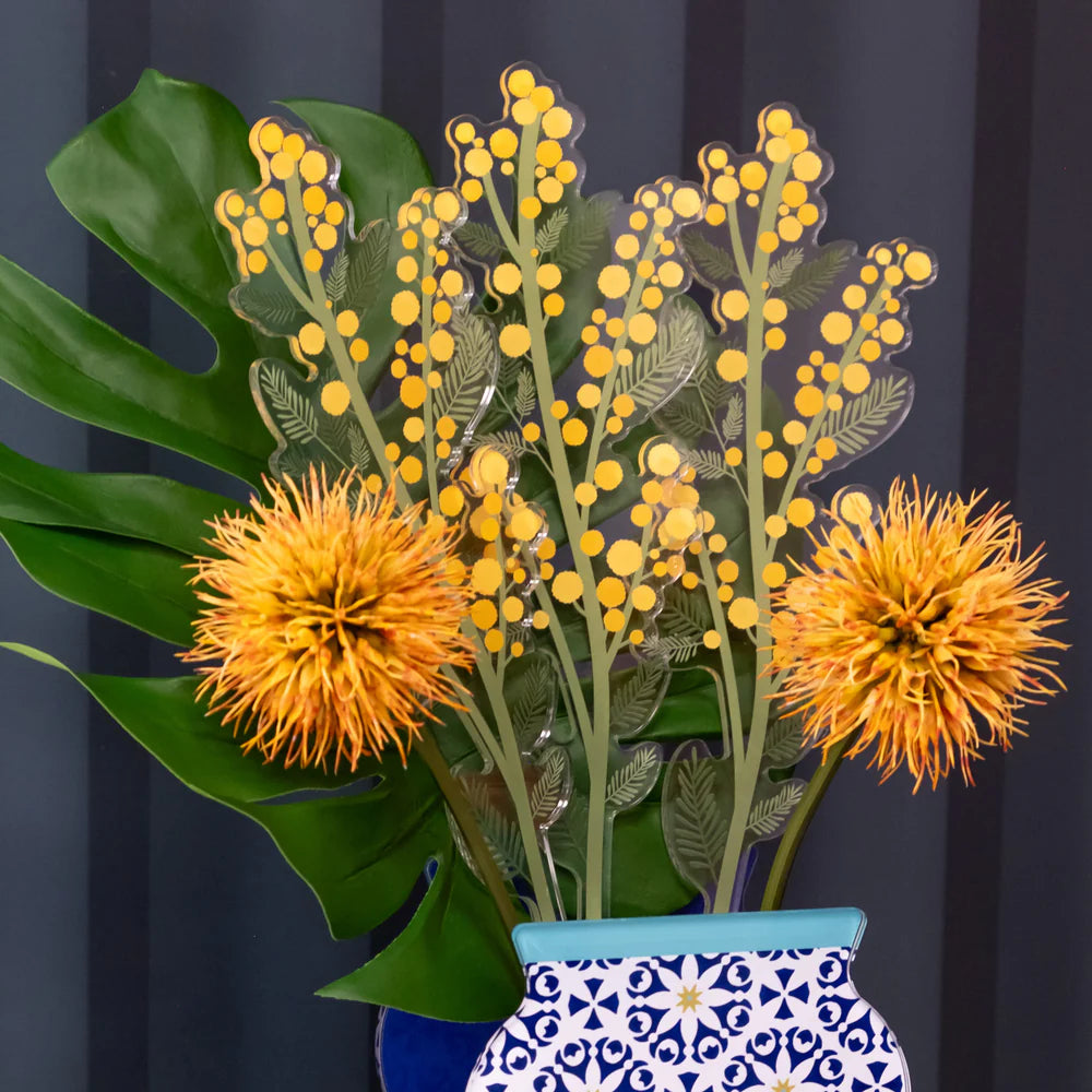 Mimosa   Grande   Funny   Flowers   Vesta