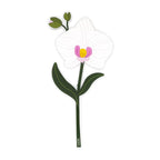 Bomboniera   Orchidea   Special   Moments   Vesta
