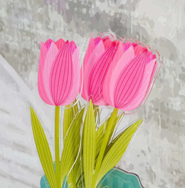 Tulipano   Piccolo   Funny   Flowers