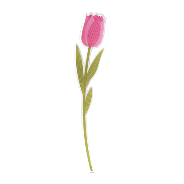 Tulipano   Piccolo   Funny   Flowers