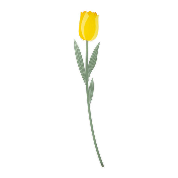 Tulipano   Grande   Funny   Flowers