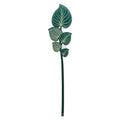 Maranta   Verde   Piccola   Funny   Flowers   Vesta