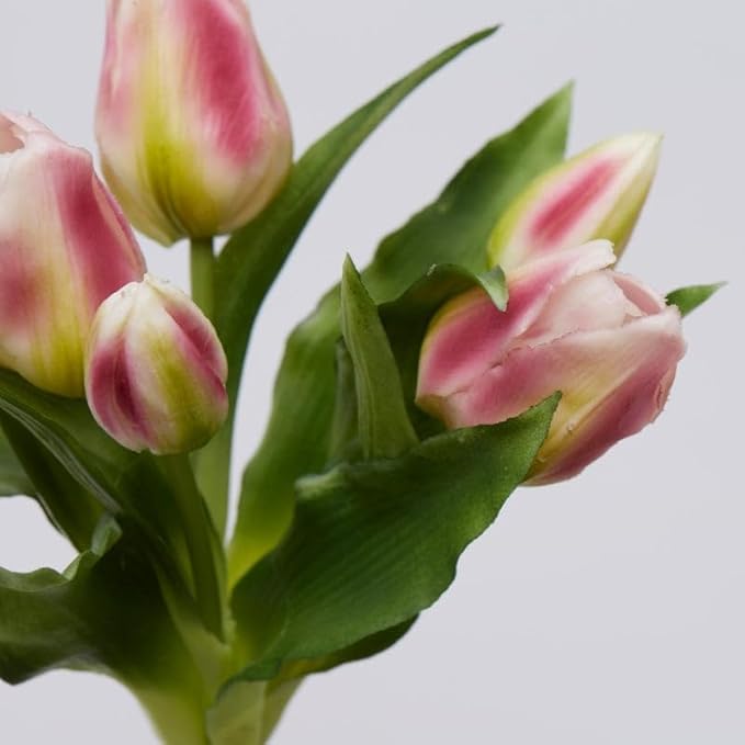 EDG Enzo De Gasperi Enzo De Gasperi Bouquet 5 Tulipani