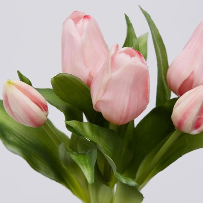 EDG Enzo De Gasperi Enzo De Gasperi Bouquet 5 Tulipani