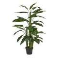 Pianta Con Vaso Calla H145 EDG