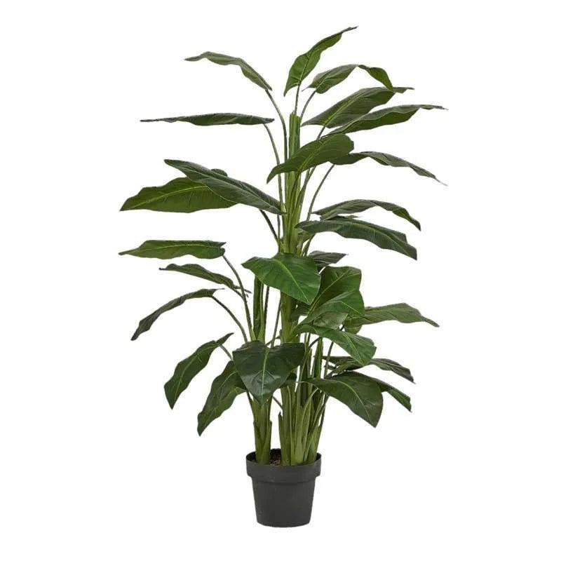 Pianta Con Vaso Calla H145 EDG