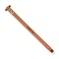 PENNA GEL CANCELLABILE LEGAMI TEDDY -ROSSA