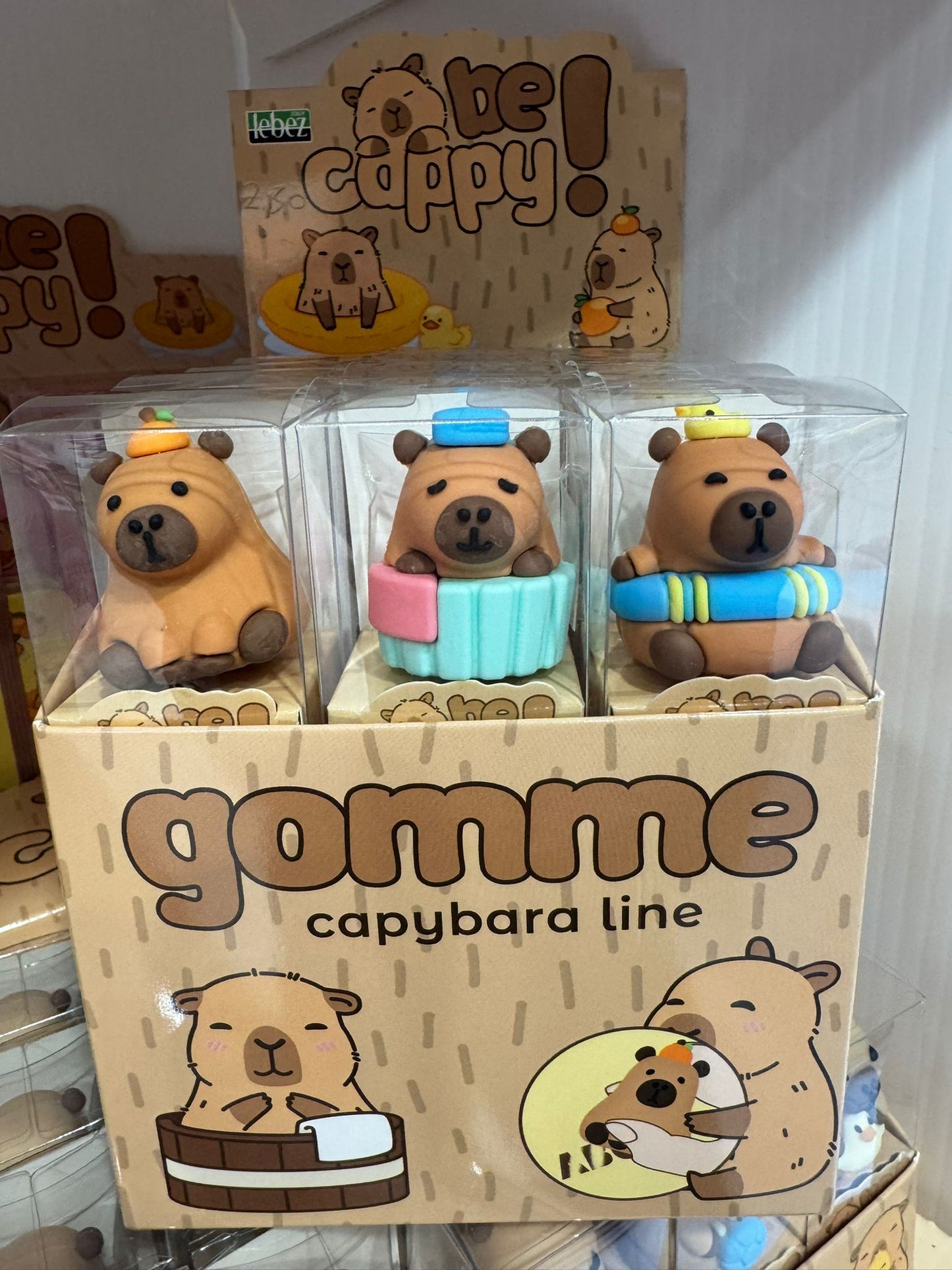 GOMME PER CANCELLARE CAPIBARA