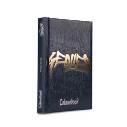 DIARIO GEOLIER