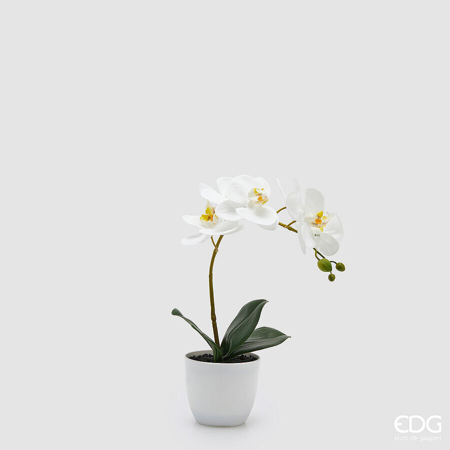 EDG Enzo De Gasperi Orchidea Phalaenopsis con Vaso e Foglie H 40 Cm Pianta Artificiale Bianco