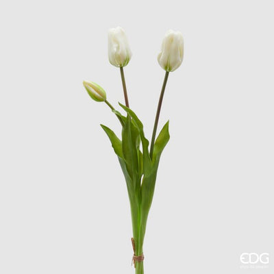 EDG Enzo De Gasperi Bouquet di 5 Tulipani Chiusi Gomma H 40 Cm Bianchi
