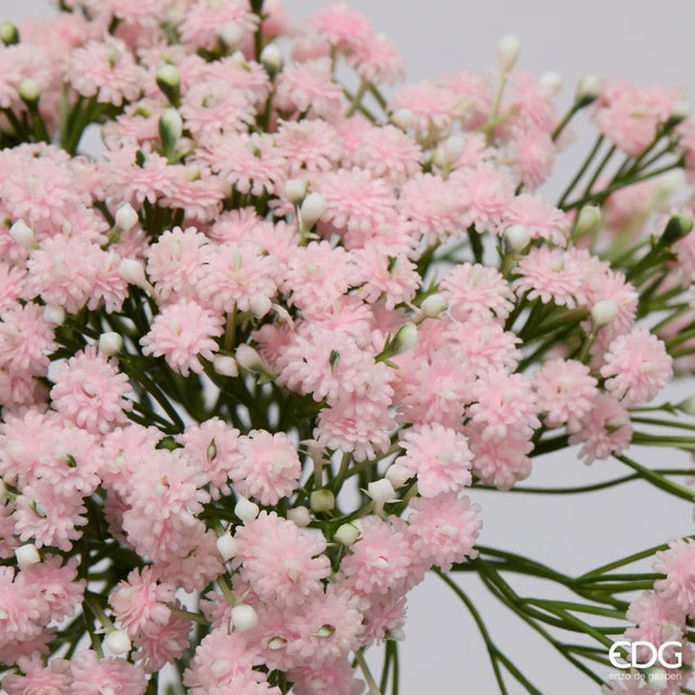 Gypsophila Bouquet - Enzo De Gasperi