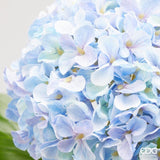EDG Enzo De Gasperi Ortensia Ramo con Foglie Ass. H 65 Cm Pianta Artificiale Colore Celeste 1 Pz