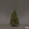 EDG Enzo De Gasperi Albero di Natale Pino Spark H 210 Cm D 141 Cm 6.670 Led Verde