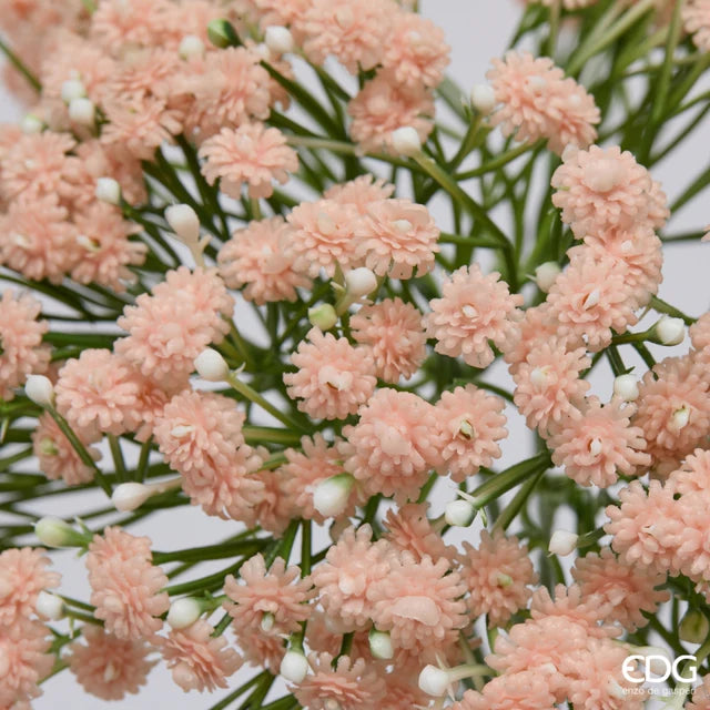 Gypsophila Bouquet x7 Enzo De Gasperi